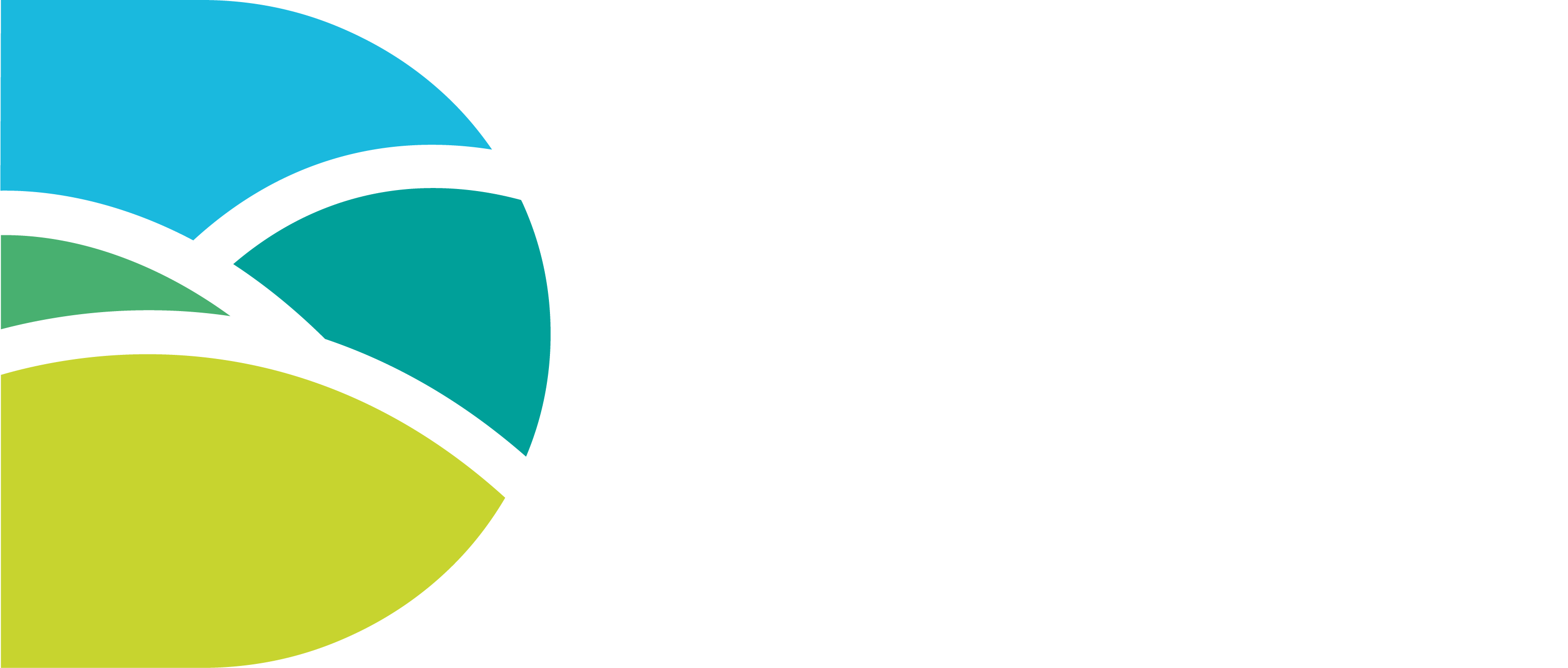 Dorset Council Logo